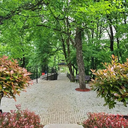 Ruza Врнячка-Баня